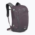 Miestinis kuprinė Osprey Nebula 32 l graphite/purple heather 2
