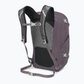 Miestinis kuprinė Osprey Nebula 32 l graphite/purple heather 3
