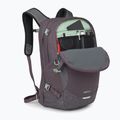 Miesto kuprinė Osprey Nebula 32 l graphite/purple heather 4