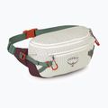 Juosmes krepšys Osprey Transporter Waist Pack 3 l mystery white/moody burgundy 2
