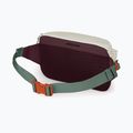 Juosmes krepšys Osprey Transporter Waist Pack 3 l mystery white/moody burgundy 3