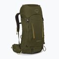Turistinė kuprinė Osprey Kestrel 38 l moss green 2