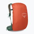 Vyriška turistinė kuprinė Osprey Stratos 24 l pine leaf 5