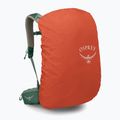 Vyriška turistinė kuprinė Osprey Stratos 34 l pine leaf 5