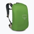 Turistinė kuprinė Osprey Hikelite 26 l olive tan 5