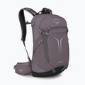 Turistinė kuprinė Osprey Sportlite 25 l graphite purple 2