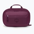 Kosmetinė Osprey Ozone Large Toiletry Kit moody burgundy