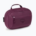Kosmetinė Osprey Ozone Large Toiletry Kit moody burgundy 2