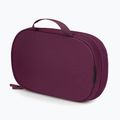 Kosmetinė Osprey Ozone Large Toiletry Kit moody burgundy 3