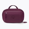 Kosmetinė Osprey Ozone Powerhouse moody burgundy