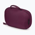 Kosmetinė Osprey Ozone Powerhouse moody burgundy 3