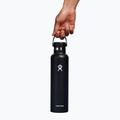 Terminis butelis Hydro Flask Standard Flex Cap 709 ml black 5