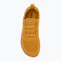 Vyriški barefoot batai Xero Shoes Nexus Knit gold 5