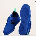 adidas Powerlift 5 sunkiosios atletikos bateliai mėlyni GY8922 11