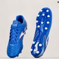 Vyriški futbolo bateliai Joma Aguila FG royal 14