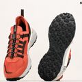 Jack Wolfskin vyriški žygio batai Dromoventure Athletic Low red 4057011_2188_075 12