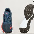 Vyriški bėgimo bateliai PUMA Aviator Profoam Sky Better navy blue 376616 03 14