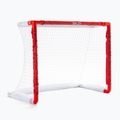 SKLZ Pro Mini ledo ritulio rinkinys 333 2