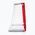 SKLZ Pro Mini ledo ritulio rinkinys 333 3