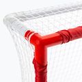 SKLZ Pro Mini ledo ritulio rinkinys 333 5