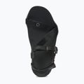 Vyriški barefoot sandalai Xero Shoes Z-Trek black 6