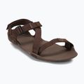Vyriški basų kojų sandalai Xero Shoes Z-Trek brown