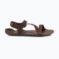 Vyriški basų kojų sandalai Xero Shoes Z-Trek brown 2
