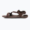 Vyriški basų kojų sandalai Xero Shoes Z-Trek brown 3