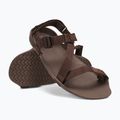 Vyriški basų kojų sandalai Xero Shoes Z-Trek brown 8