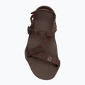 Vyriški basų kojų sandalai Xero Shoes Z-Trek brown 5
