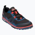 Moteriški barefoot batai Xero Shoes Scrambler Low sodalite blue / orange 8