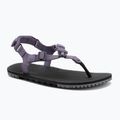 Moteriški barefoot sandalai Xero Shoes H-Trail sage purple