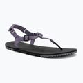 Moteriški basų kojų sandalai Xero Shoes H-Trail sage purple HTW-SGPU