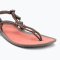 Moteriški basų kojų sandalai Xero Shoes Aqua Cloud moel/sunset coral 7