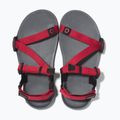 Vaikiški barefoot sandalai Xero Shoes Z-Trail charcoal/red pepper 5