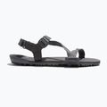 Vyriški basų kojų sandalai Xero Shoes Z-Trail EV steel gray/asphalt