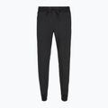 Moteriškos kelnės Royal Robbins Spotless Evolution Jogger jet black