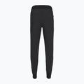 Moteriškos kelnės Royal Robbins Spotless Evolution Jogger jet black 2