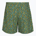 Vyriškos žygio kelnės Royal Robbins All-In algae flash pt 2