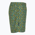 Vyriškos žygio kelnės Royal Robbins All-In algae flash pt 3