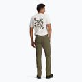 "Royal Robbins Wilder everglade" vyriškos kelnės 3