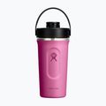 Šeikeris Hydro Flask Insulated Shaker 710 ml reef