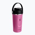 Šeikeris Hydro Flask Insulated Shaker 710 ml reef 2