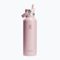 Termo gertuvė Hydro Flask Standard Flex 621 ml Trillium