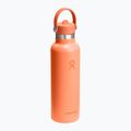 Terminis butelis Hydro Flask Standard Flex Straw 620 ml nectar 2