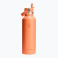 Terminis butelis Hydro Flask Standard Flex Straw 620 ml nectar