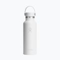 Termo gertuvė Hydro Flask Standard Flex 532 ml white