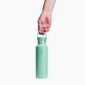 Termo gertuvė Hydro Flask Standard Flex 621 ml mermaid green 3