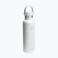 Termo gertuvė Hydro Flask Standard Flex 621 ml white 2