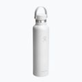 Termo gertuvė Hydro Flask Standard Flex 710 ml white 2